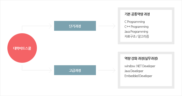 대학비트스쿨 단기과정, 고급과정